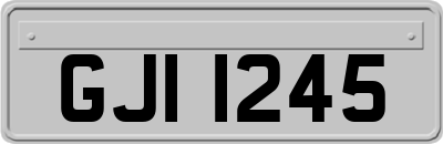 GJI1245