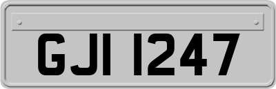 GJI1247