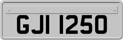 GJI1250