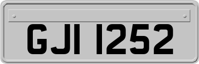 GJI1252