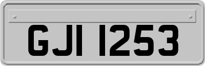 GJI1253