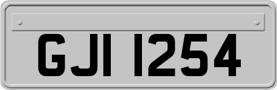 GJI1254