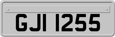 GJI1255