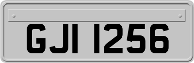 GJI1256