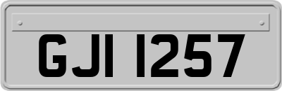 GJI1257
