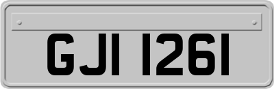 GJI1261