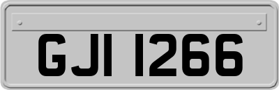 GJI1266