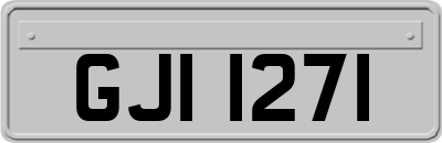 GJI1271
