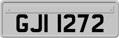 GJI1272