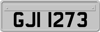 GJI1273