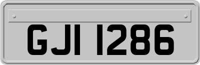 GJI1286