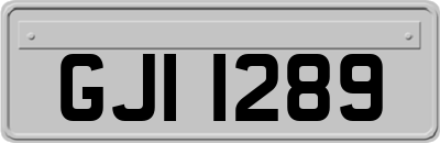 GJI1289