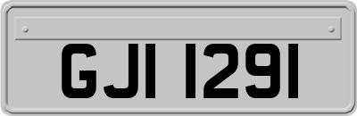 GJI1291