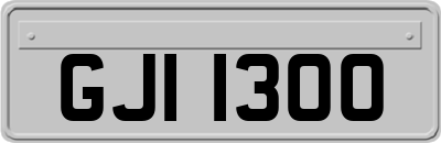 GJI1300