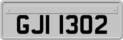 GJI1302