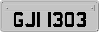 GJI1303