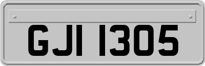 GJI1305