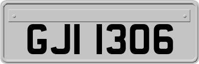 GJI1306