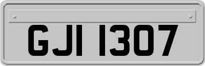 GJI1307
