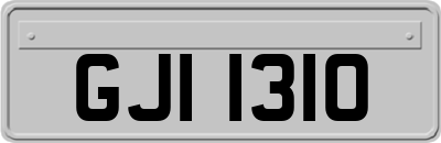 GJI1310