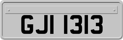 GJI1313