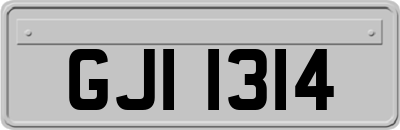 GJI1314