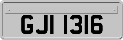 GJI1316