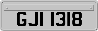 GJI1318