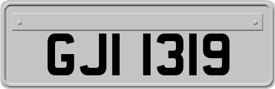 GJI1319