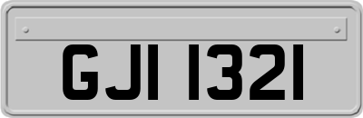 GJI1321