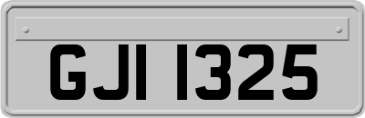 GJI1325