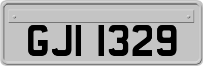 GJI1329