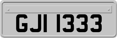 GJI1333