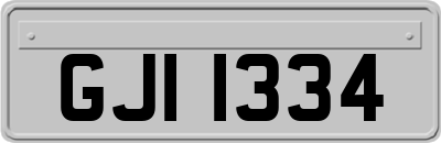 GJI1334