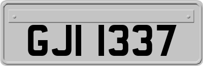 GJI1337