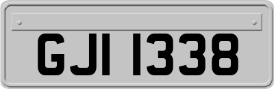 GJI1338