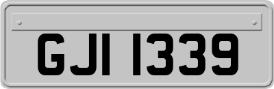 GJI1339