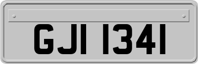 GJI1341