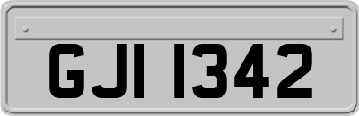 GJI1342