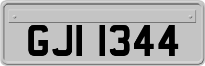 GJI1344