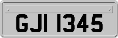GJI1345