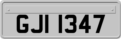 GJI1347