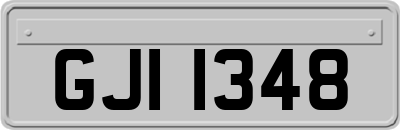 GJI1348
