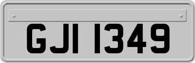 GJI1349