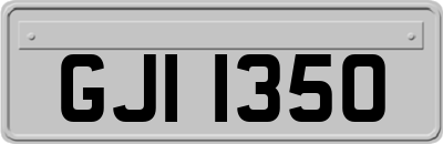 GJI1350