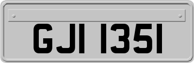GJI1351