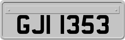 GJI1353