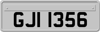 GJI1356