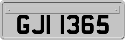 GJI1365