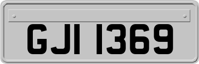 GJI1369